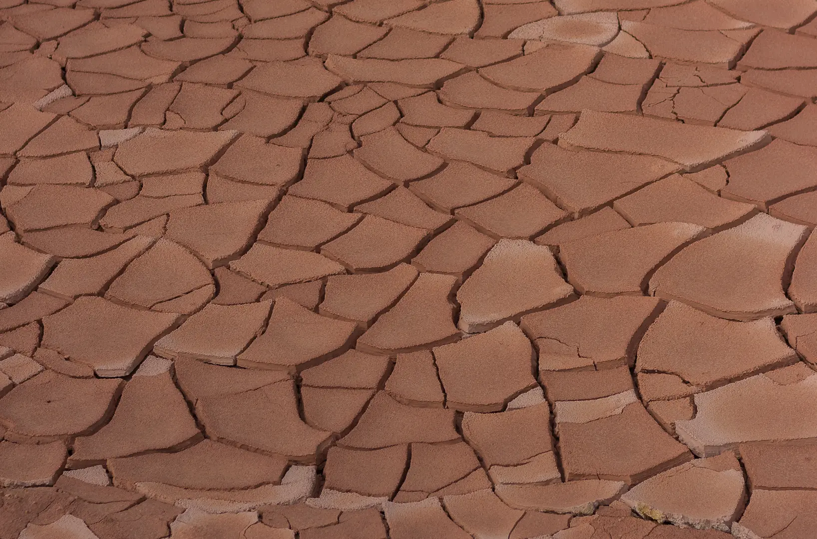régénération des sols
